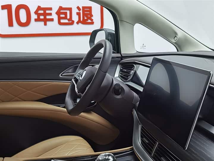 Фото 22 - Denza D9