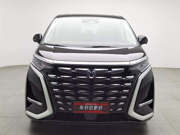 Фото 3 - Denza D9