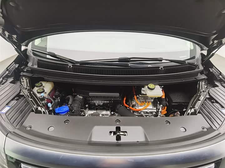 Фото 6 - Denza D9