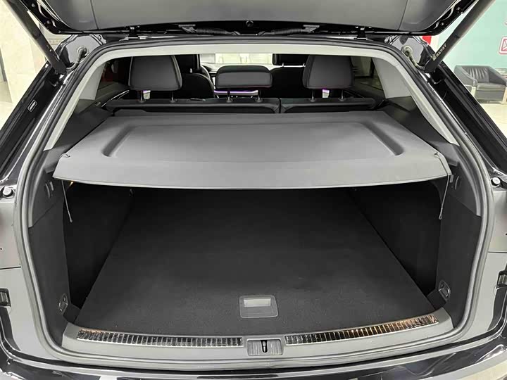 Фото 16 - Volkswagen Teramont X