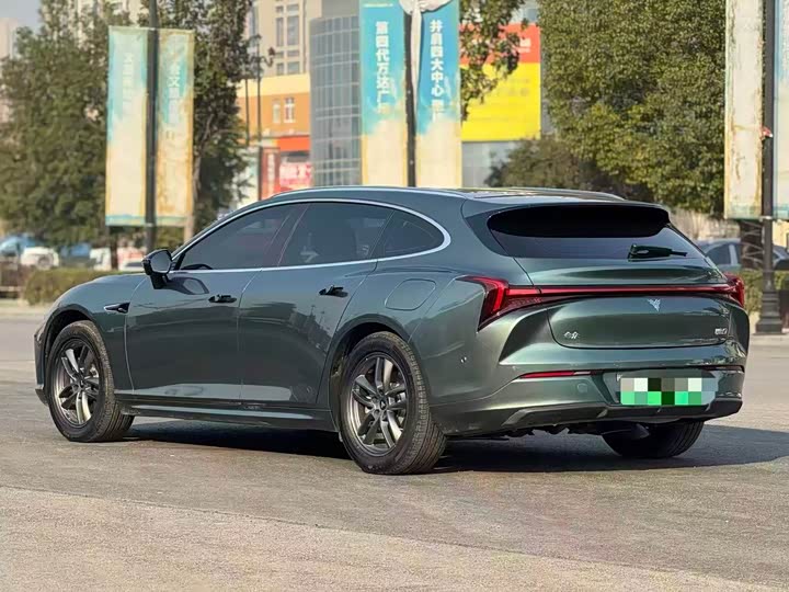 Фото 9 - Hozon S Hunting