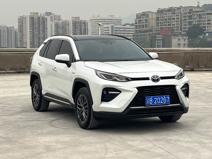 Фото 11 - Toyota Wildlander