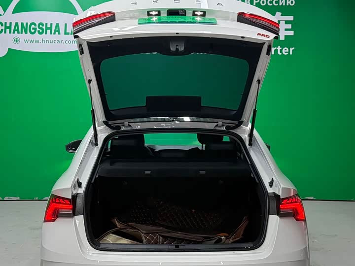 Фото 10 - Skoda Octavia Pro