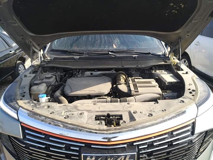 Фото 20 - Haval F7 (Monster)