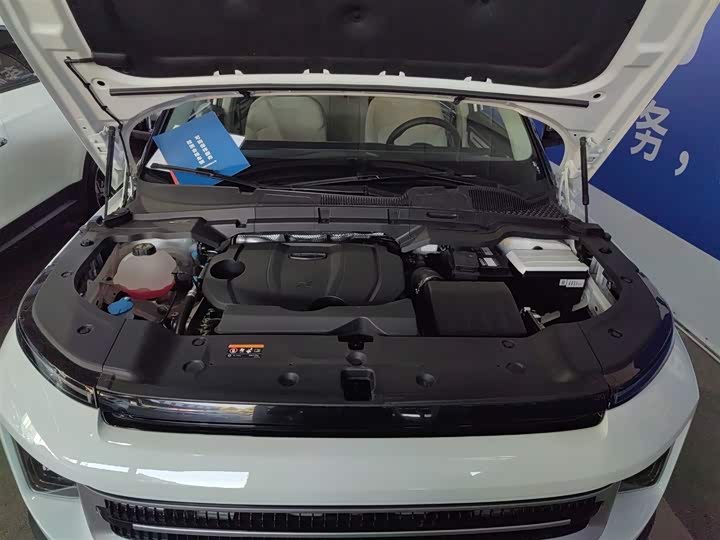 Фото 20 - Geely Icon