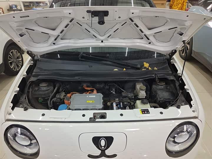 Фото 20 - Ora Black Cat