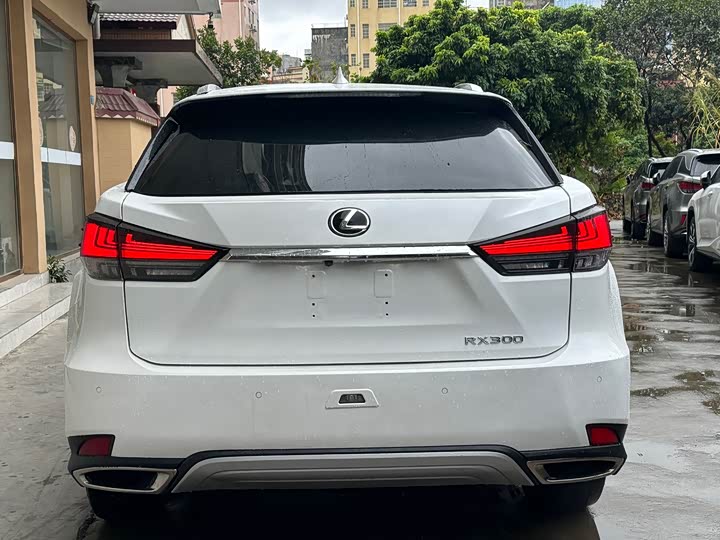 Фото 10 - Lexus RX