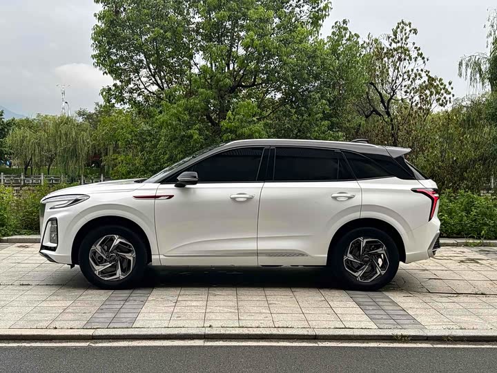 Фото 6 - Hongqi HS3