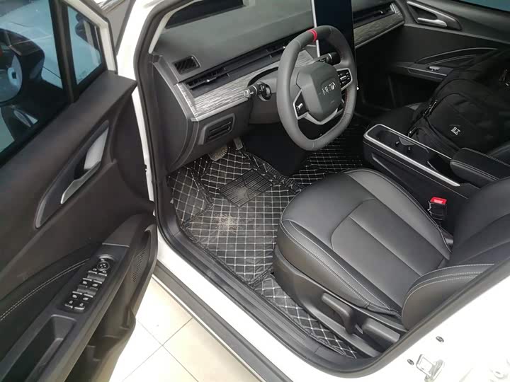 Фото 16 - Hozon AYA