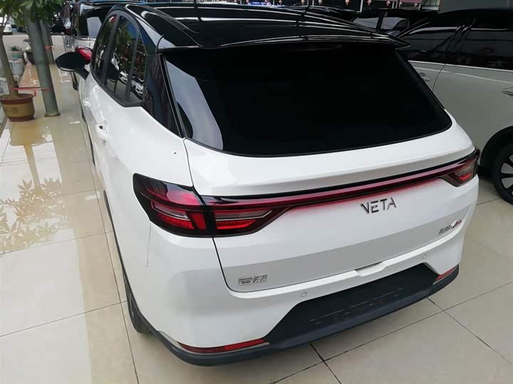 Фото 5 - Hozon AYA