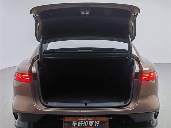 Фото 16 - Voyah Passion