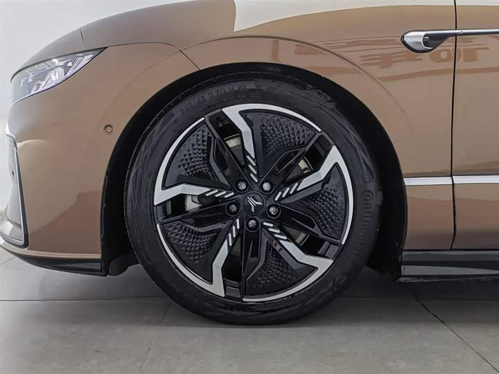 Фото 17 - Voyah Passion