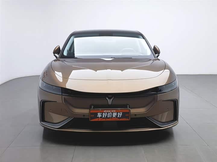 Фото 3 - Voyah Passion