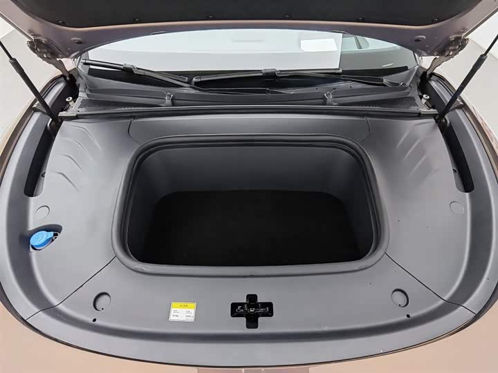 Фото 6 - Voyah Passion