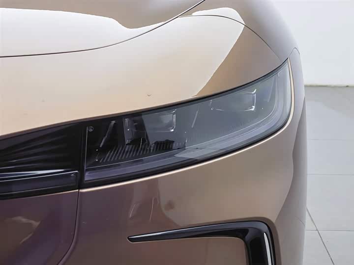 Фото 7 - Voyah Passion