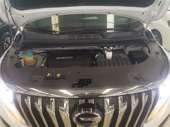 Фото 20 - GAC Trumpchi M8