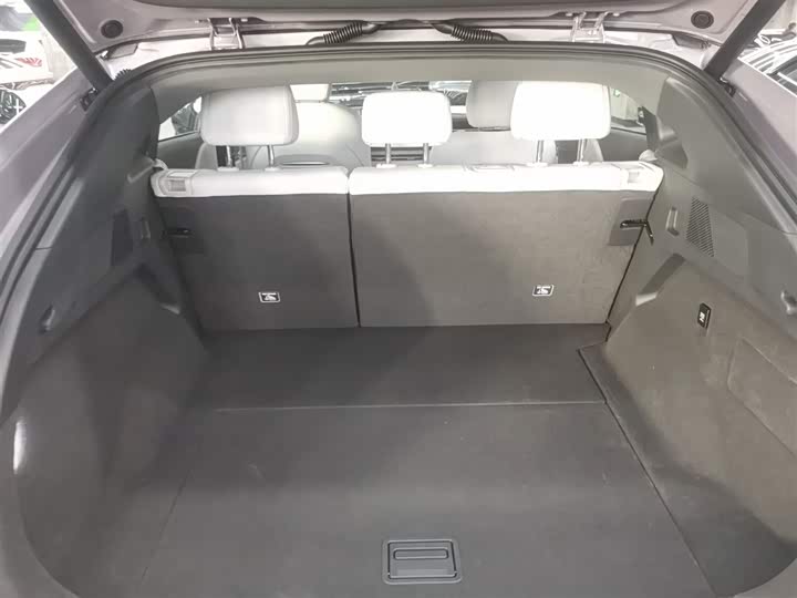 Фото 19 - XPeng G6