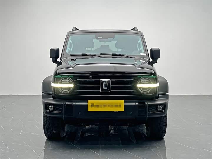 Фото 2 - Tank 300