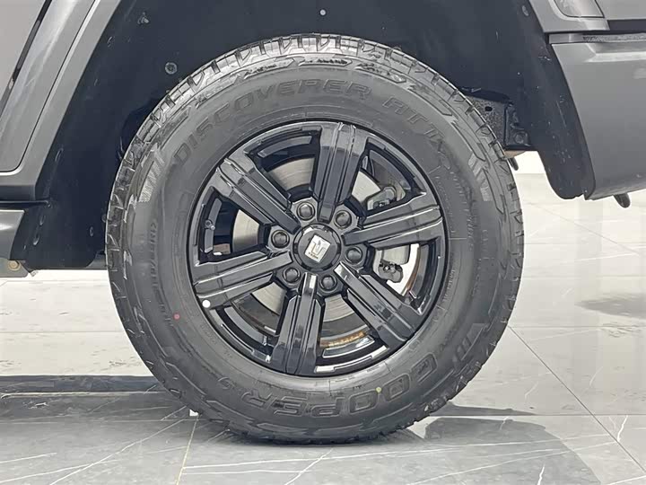 Фото 25 - Tank 300