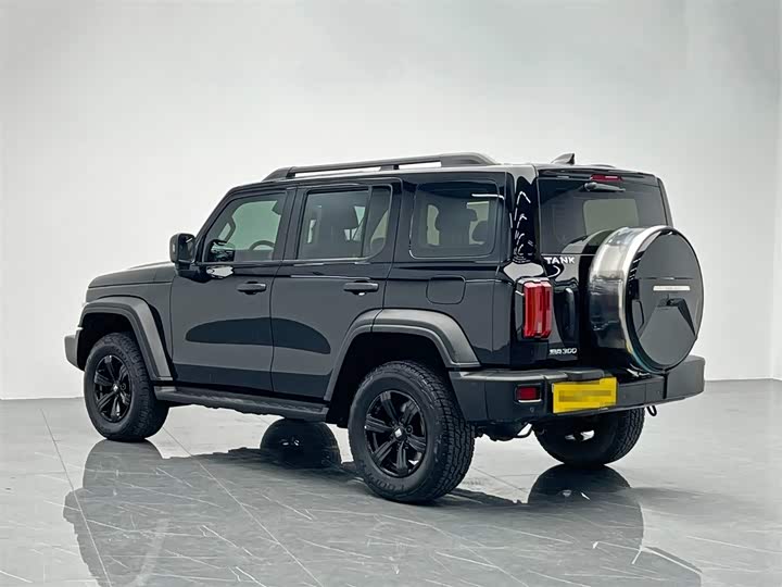 Фото 4 - Tank 300