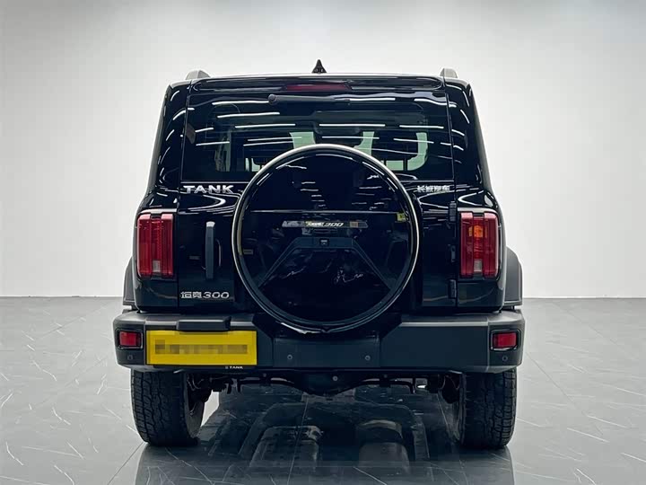 Фото 5 - Tank 300