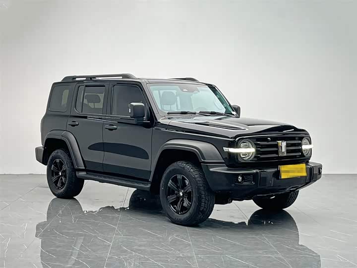 Фото 8 - Tank 300