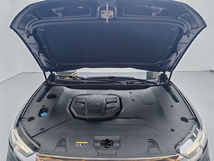 Фото 18 - Hongqi HS5