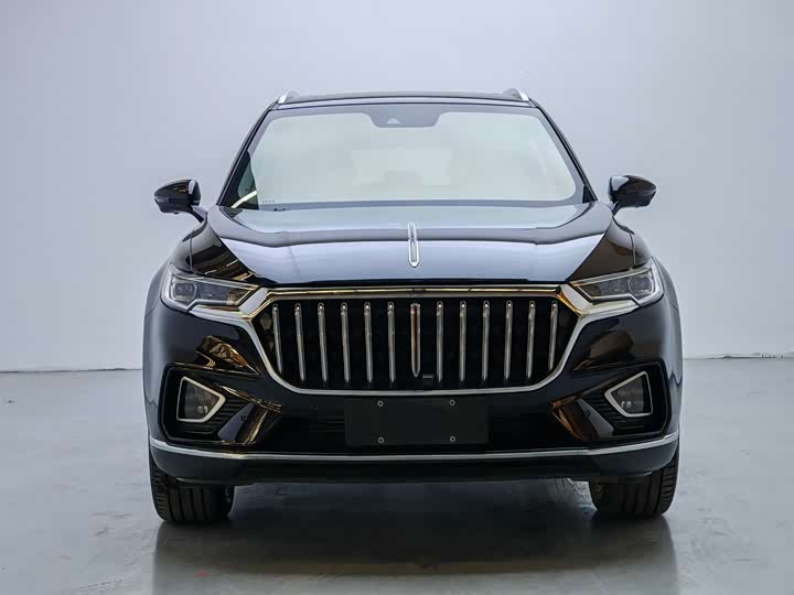 Фото 2 - Hongqi HS5