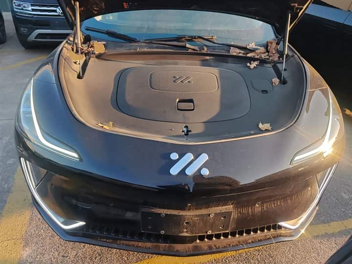 Фото 20 - IM motors LS7