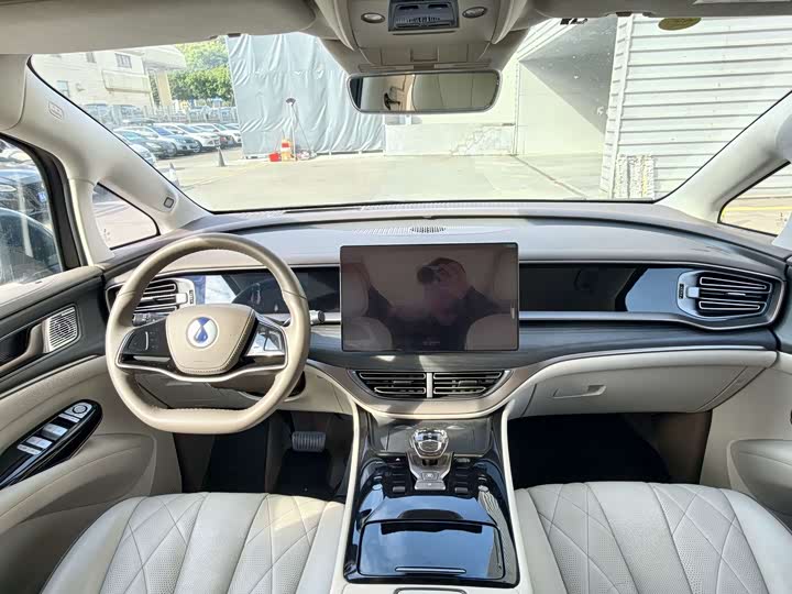 Фото 12 - Denza D9