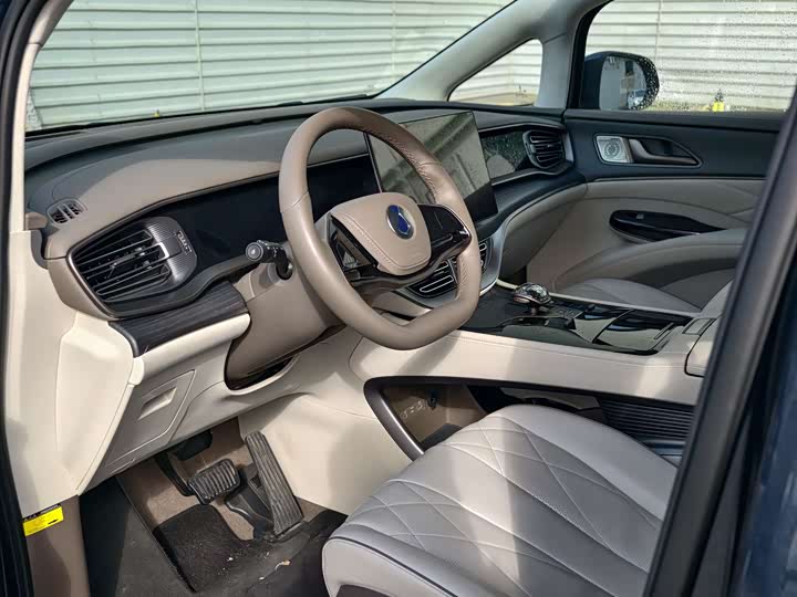 Фото 13 - Denza D9