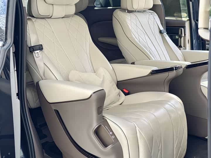 Фото 15 - Denza D9