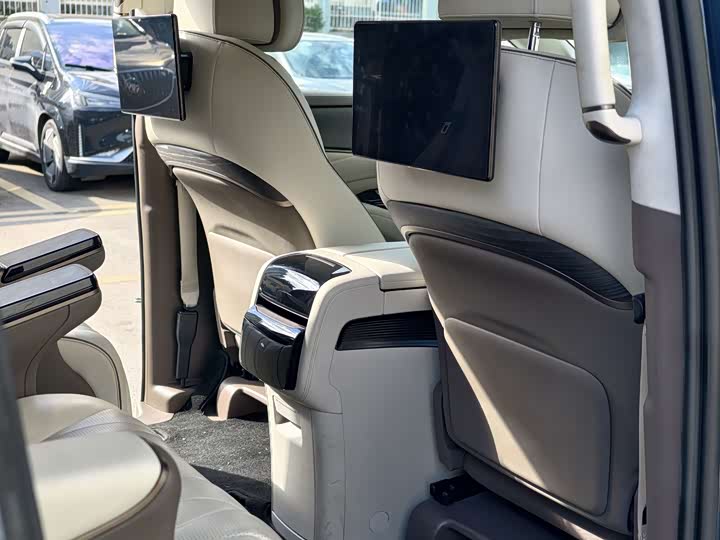 Фото 17 - Denza D9