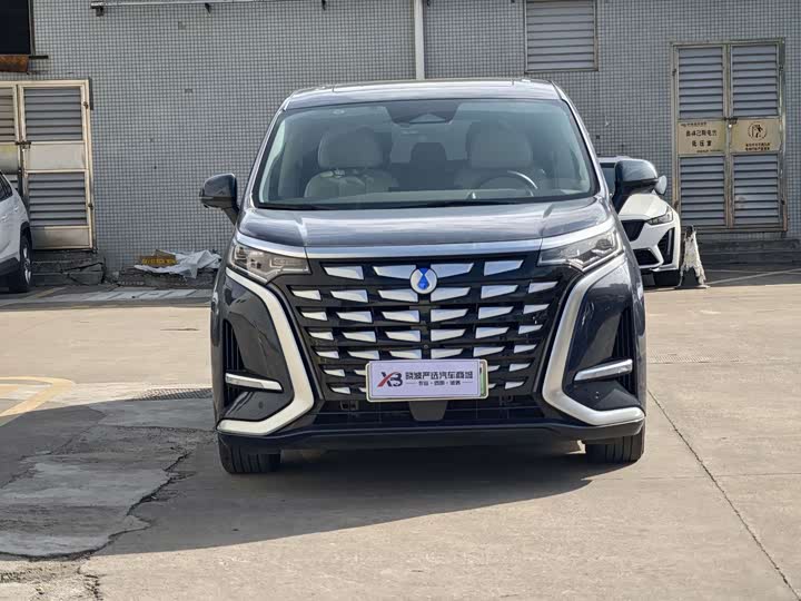 Фото 2 - Denza D9