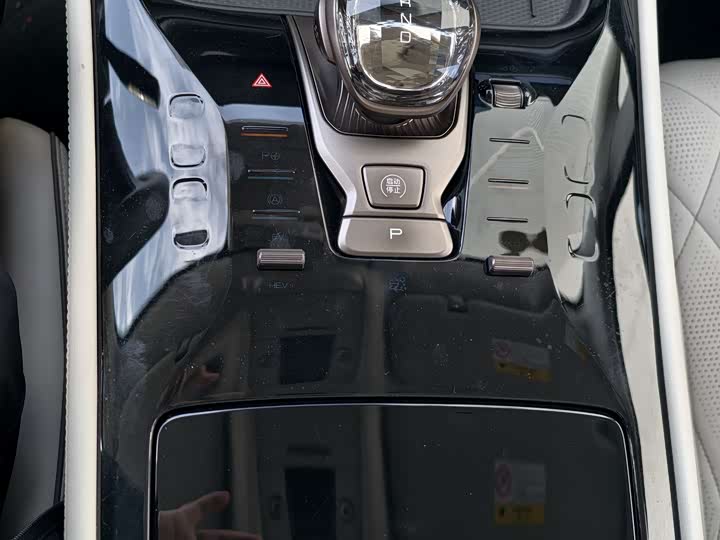 Фото 20 - Denza D9