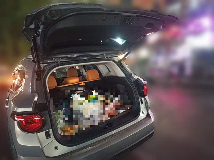 Фото 10 - Haval H-Dog Hybrid