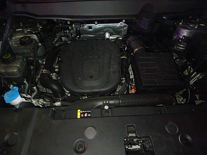 Фото 11 - Haval H-Dog Hybrid