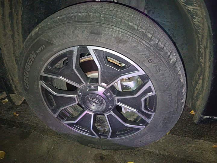 Фото 31 - Haval H-Dog Hybrid