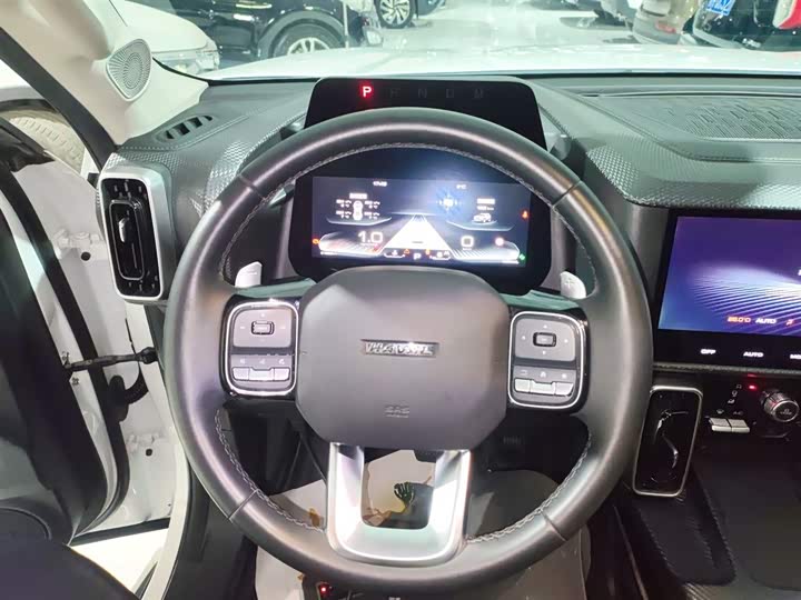 Фото 11 - Haval Dargo