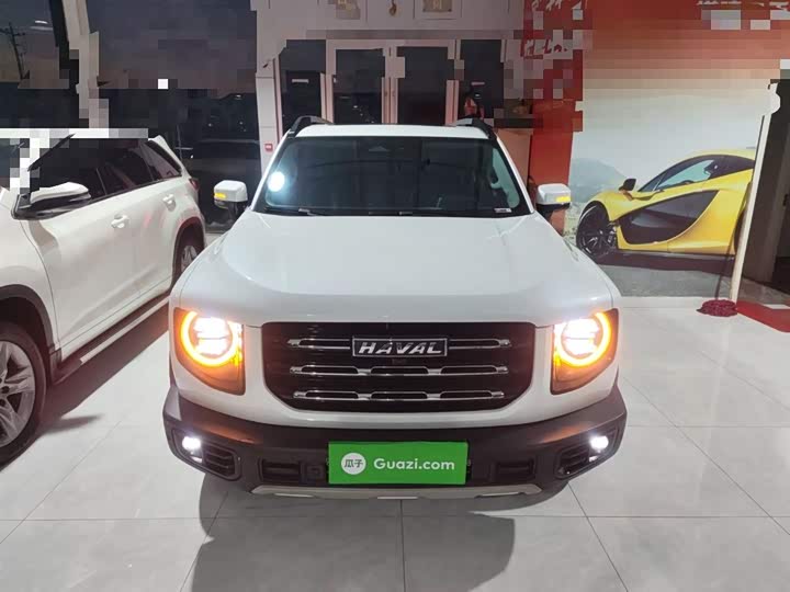 Фото 3 - Haval Dargo