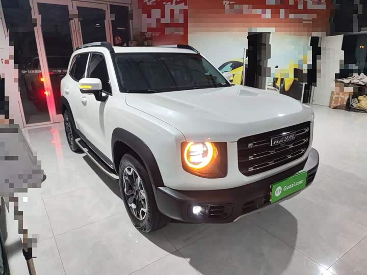 Фото 4 - Haval Dargo