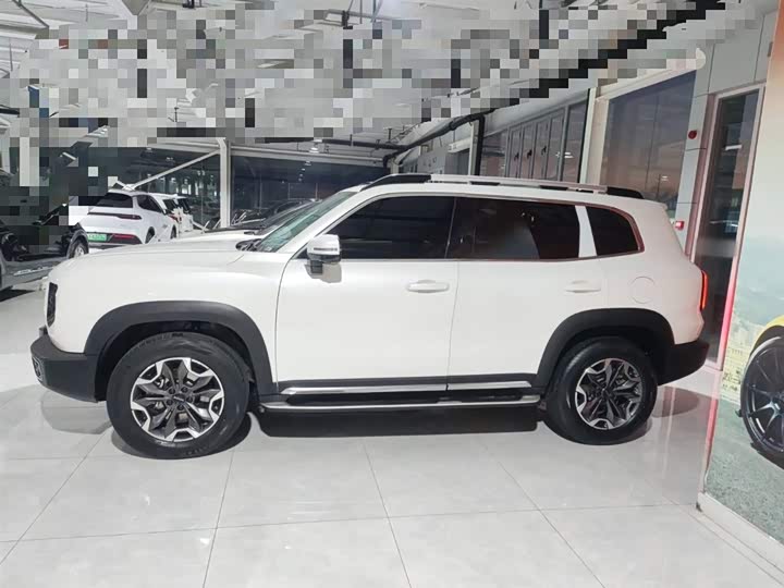 Фото 5 - Haval Dargo