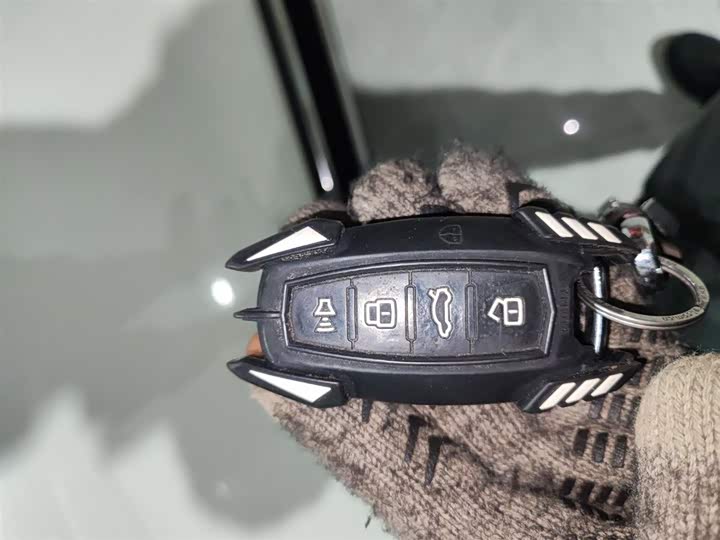 Фото 9 - Haval Dargo