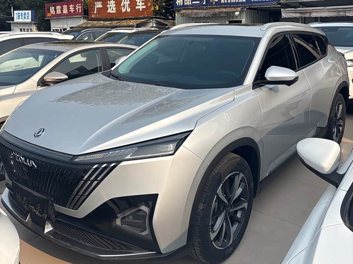 Фото 3 - Dongfeng Aeolus Haohan