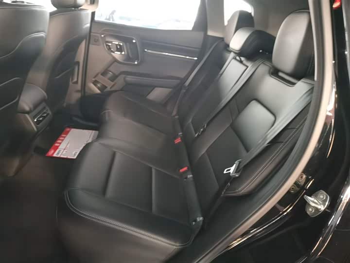 Фото 17 - Haval H-Dog Hybrid