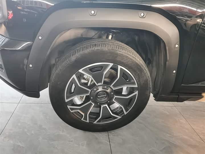 Фото 23 - Haval H-Dog Hybrid