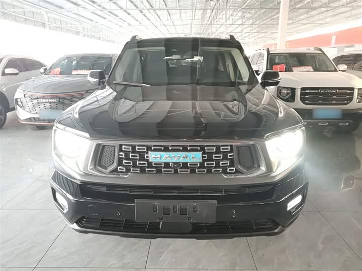 Фото 3 - Haval H-Dog Hybrid