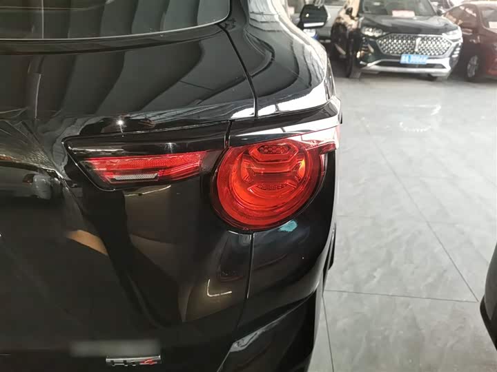Фото 8 - Haval H-Dog Hybrid