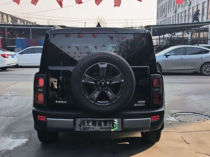 Фото 4 - Haval Raptor Hybrid