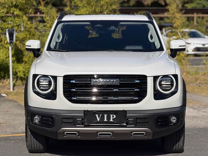 Фото 2 - Haval Dargo